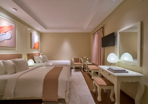 Deluxe Double Or Twin Room (No Window)