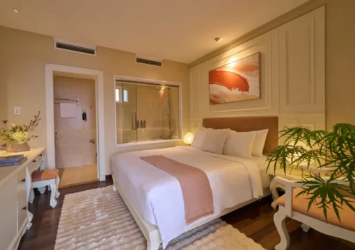 Deluxe Double Or Twin Room (No Window)
