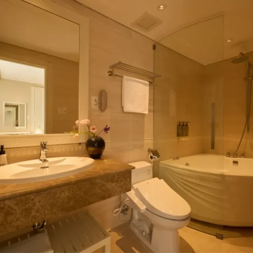 Deluxe Double Or Twin Room (No Window)