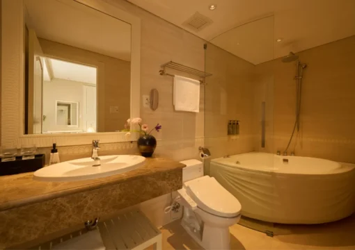 Deluxe Double Or Twin Room (No Window)